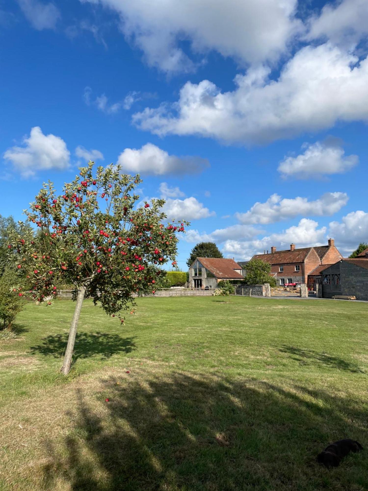The Hayloft At Stathe Farm Villa Bridgwater Exterior foto